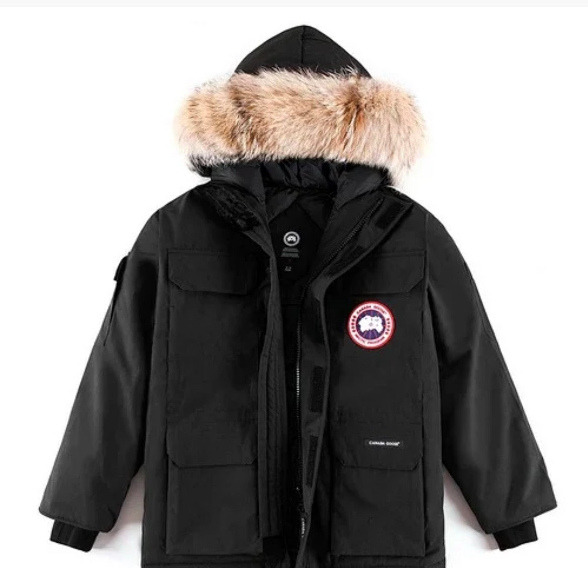 Canada Goose